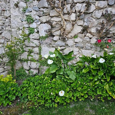 Gardainn Giardino 38A Riva del Garda Bagian luar foto