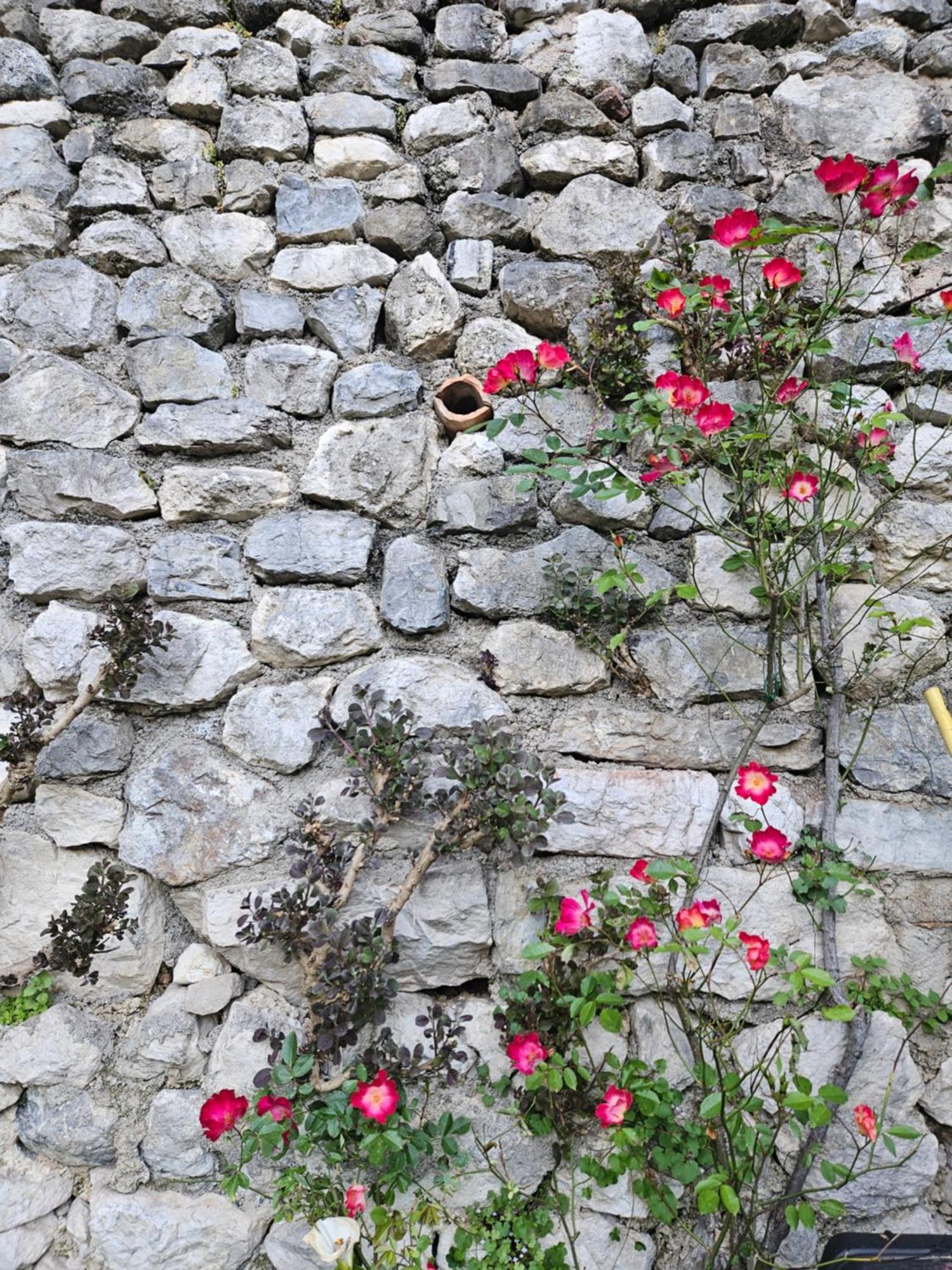 Gardainn Giardino 38A Riva del Garda Bagian luar foto
