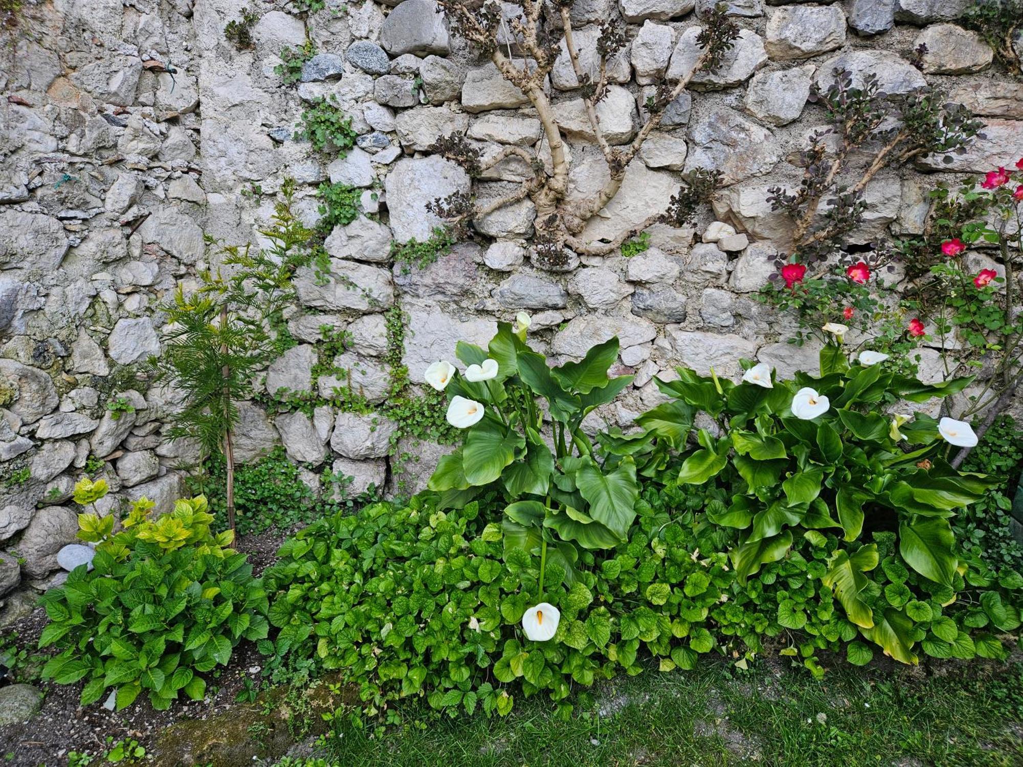 Gardainn Giardino 38A Riva del Garda Bagian luar foto